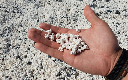 Bãi biển du khách nhìn chỉ muốn ăn ở Tây Ban Nha