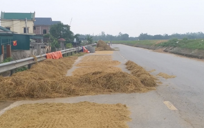 Nghệ An: Quốc lộ 46C "biến" thành sân phơi nông sản