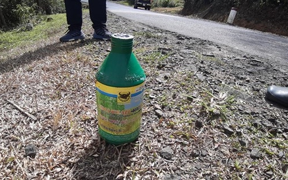Kon Tum: Đơn vị quản lý phát quang đường bằng thuốc diệt cỏ