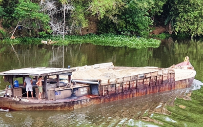 Quảng Nam: ‘Cát tặc’ lộng hành, ngang nhiên thách thức chính quyền địa phương