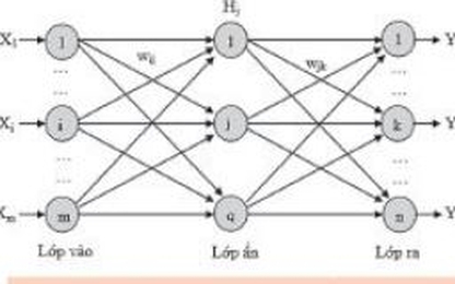 Nghiên cứu ứng dụng trí tuệ nhân tạo (AI) xây dựng mô hình dự báo chuyển vị theo phương đứng cầu dây văng