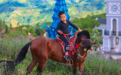 Vì sao nhất định phải đến Sa Pa ngay trong tháng 7