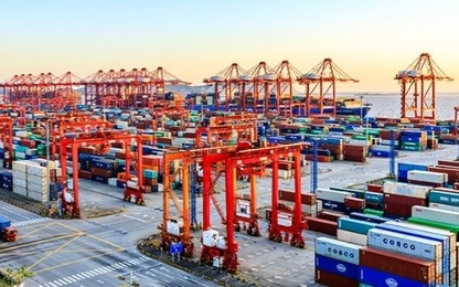 Cách nào quản hiểu quả bãi chứa container tại bến cảng container?