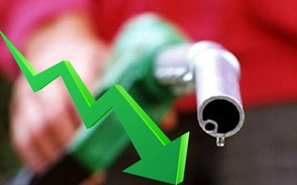 Xăng dầu và gas sẽ tiếp đà giảm giá trong tháng 9