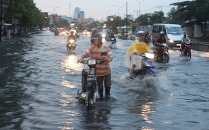 Mọi người phải đóng quỹ phòng, chống thiên tai