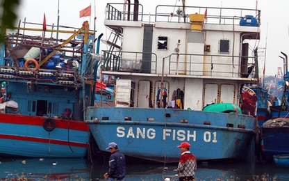 Vụ nhà máy đóng tàu lừa ngư dân: Thủ tướng chỉ đạo kiểm tra