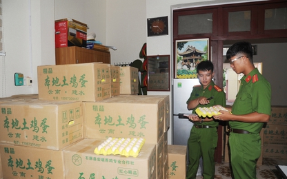 Bắt giữ vụ vận chuyển hơn 25.000 quả trứng gà Trung Quốc nhập lậu