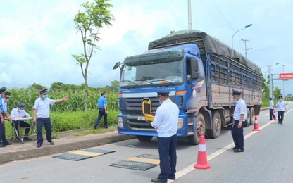 Quảng Ninh: Xử phạt trên 500 trường hợp xe chở quá tải trọng