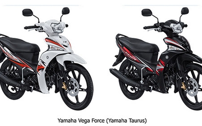 Yamaha ra mắt Taurus thế hệ mới giá từ 915 USD