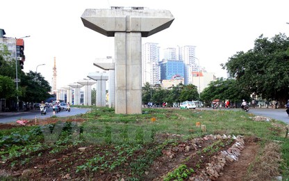 Đường sắt đô thị chậm tiến độ, dân tranh thủ trồng rau xanh