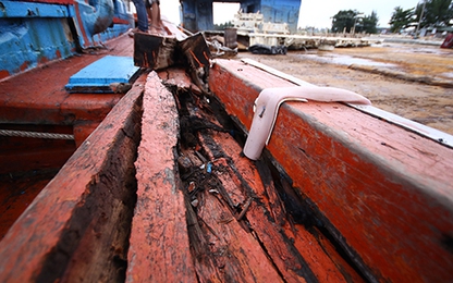 Sinh viên góp tiền giúp tàu cá bị tàu sắt Trung Quốc đâm chìm