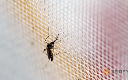 Phát hiện ca nhiễm Zika đầu tiên ở Lào, Philippines