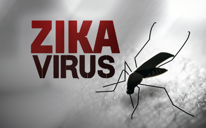 Phát hiện mới: Zika có thể gây viêm não ở người lớn