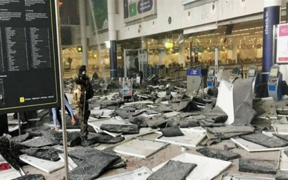 Bộ trưởng Giao thông Bỉ từ chức vì vụ khủng bố sân bay Brussels