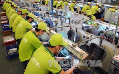 Vì sao doanh nghiệp Séc khó tuyển dụng lao động Việt Nam