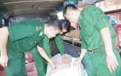 Hơn 400 kg thịt thối bị bắt khi đang đưa vào Việt Nam tiêu thụ
