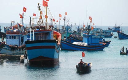 Hơn 260.000 lao động ảnh hưởng vì sự cố cá chết ở miền Trung