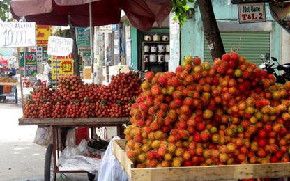 Giết người ở An Giang, trốn lên TP.HCM bán trái cây