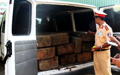 Ngụy trang thành xe đưa tang để chở gỗ lậu