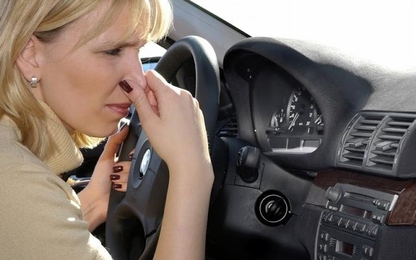 Hướng dẫn khử mùi do chở hải sản trên xe ô tô