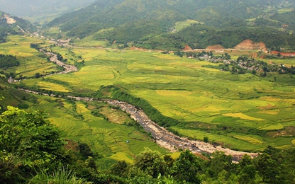 Lạc lối trong thung lũng lúa chín tráng lệ nhất Lào Cai