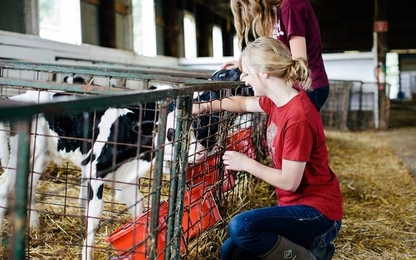 Đại học Mỹ cho sinh viên trồng rau, nuôi bò để trả học phí