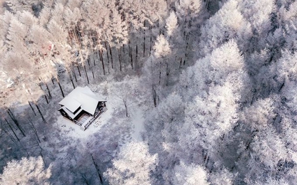 Mùa đông tuyết trắng như cổ tích ở Nhật Bản