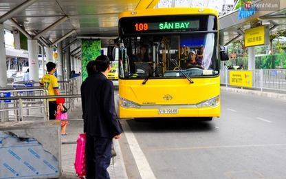 TP.HCM: Bus miễn phí vào sân bay hút khách