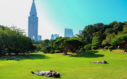 Khu vườn giữa Tokyo được đổi tên sau khi lên phim hoạt hình
