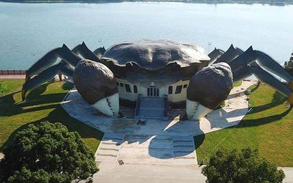 Bảo tàng hình con cua khổng lồ gây chú ý ở Trung Quốc