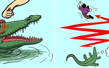 Kiến thức giúp bạn thoát nạn khi gặp cá sấu, rắn độc