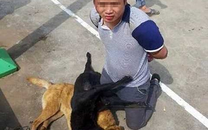 Nghi can trộm chó tấn công cảnh sát để giải cứu đồng bọn
