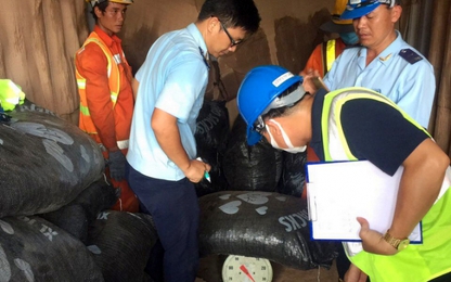 6 tấn vảy tê tê lẫn trong hạt điều về cảng Bà Rịa-Vũng Tàu