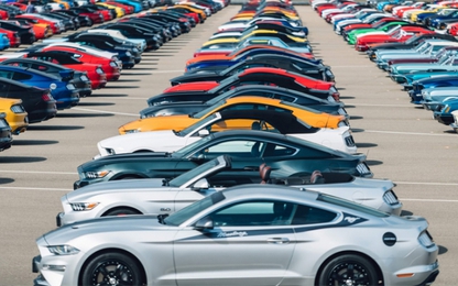 Hơn 1.300 chiếc Ford Mustang tụ hội