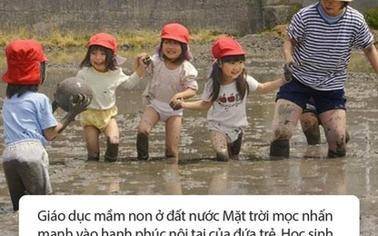 Phương pháp giáo dục mẫu giáo của Nhật Bản khiến cha mẹ Việt ngưỡng mộ