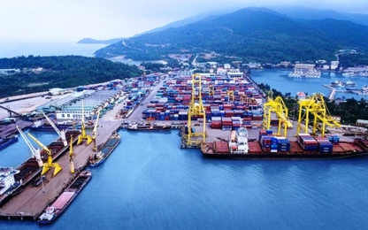 Đà Nẵng: Phát triển cảng Liên Chiểu thành cảng đặc biệt Quốc gia
