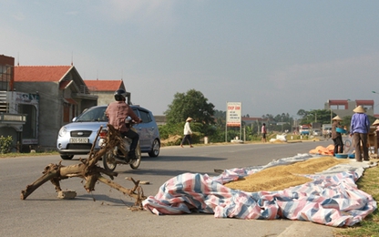 Xử lý vi phạm hành lang đường bộ các tuyến QL tỉnh Điện Biên