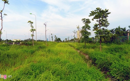 Xử lý cỏ mọc um tùm trên QL18 đoạn Nội Bài – Bắc Ninh