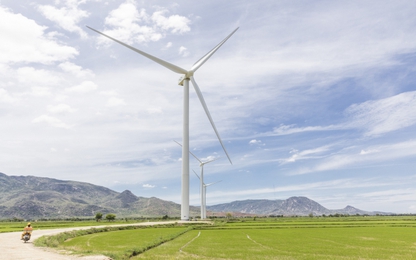 Các tỉnh đề nghị gia hạn ưu đãi giá điện gió do dịch Covid-19