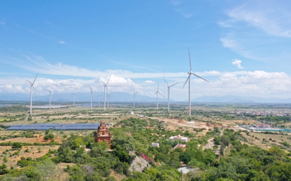 Trungnam Group khánh thành dự án điện gió số 5 tại Ninh Thuận