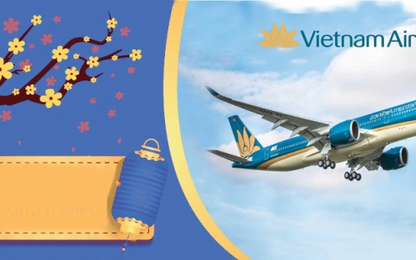 Hoa mai, hoa đào được Vietnam Airlines vận chuyển như thế nào trong dịp Tết?