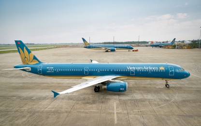 Vietnam Airlines và Jetstar vận chuyển cành đào, cành mai dịp Tết Nguyên đán 2019