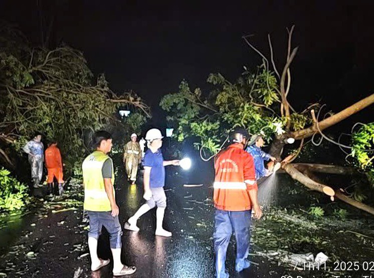 hậu quả bão số 13