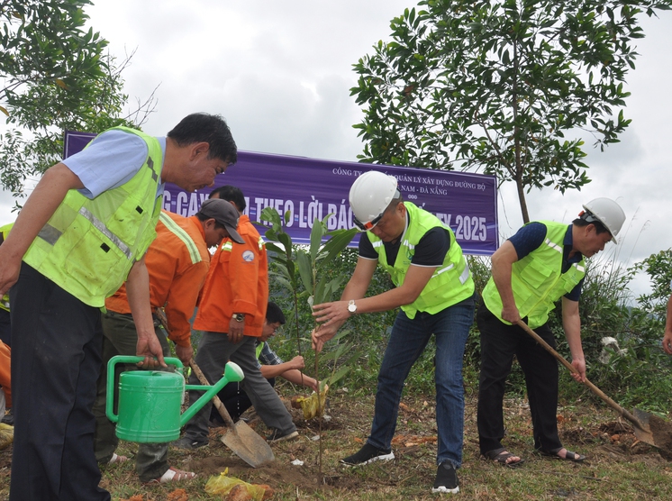 trồng cây tạo hộ lan mềm